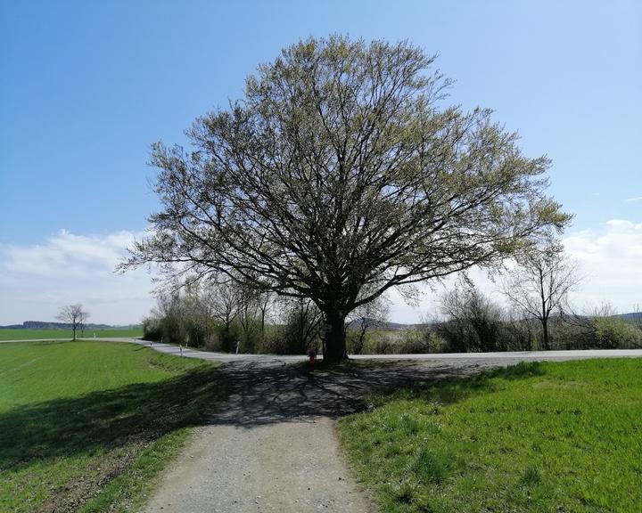 Burgerladen Scharfenstein-Venusberg eG